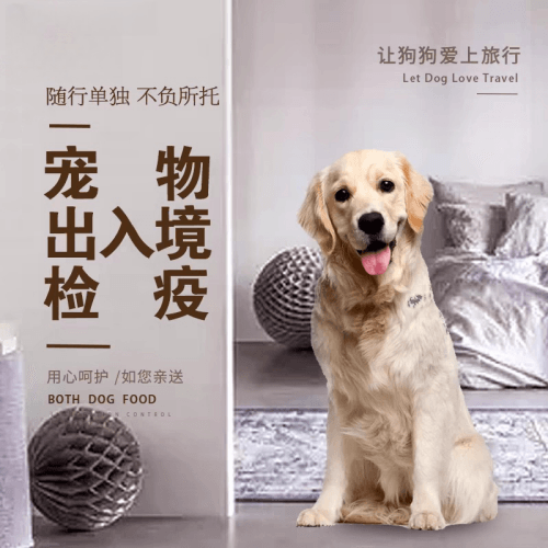 台北市宠物托运到哥伦比亚猫狗宠物入境规定和