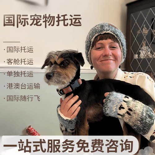 台北市国际宠物托运到阿根廷宠物入境规定和要