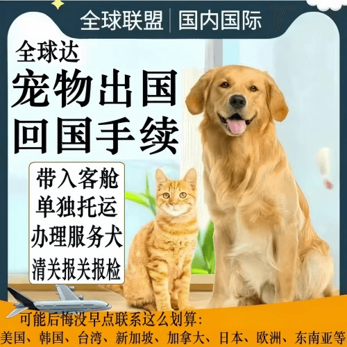 台北市宠物托运到柬埔寨宠物入境规定和要求