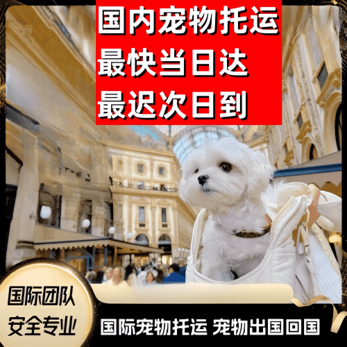 台北市到澳大利亚（澳洲）宠物入境规定和要求