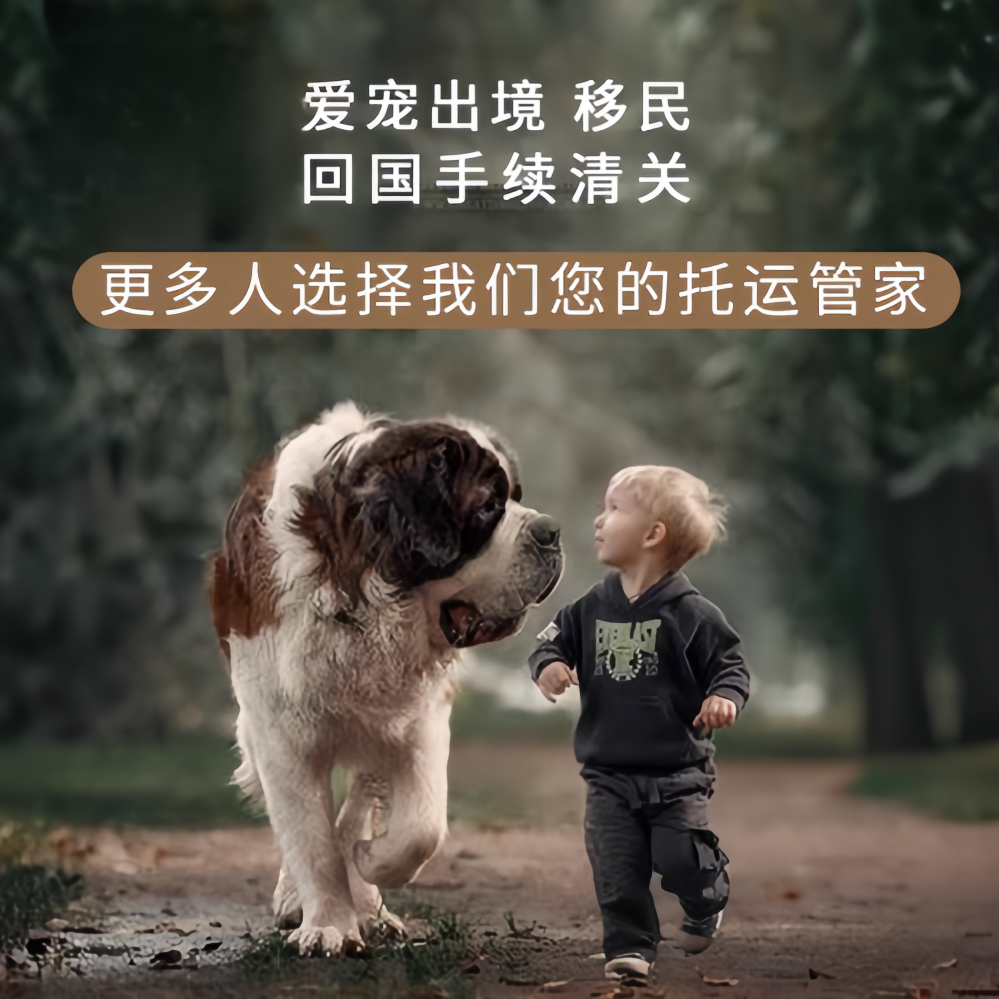 满财台北市宠物全球达宠物托运在遵守入境目的地政策的条件