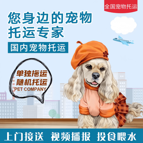 满财台北市宠物全球达宠物托运作为专业的宠物运输代理机构